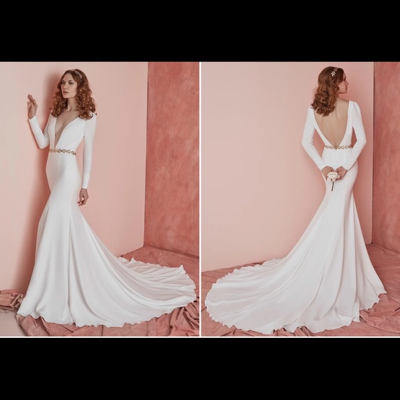 Wedding Dress & Vail